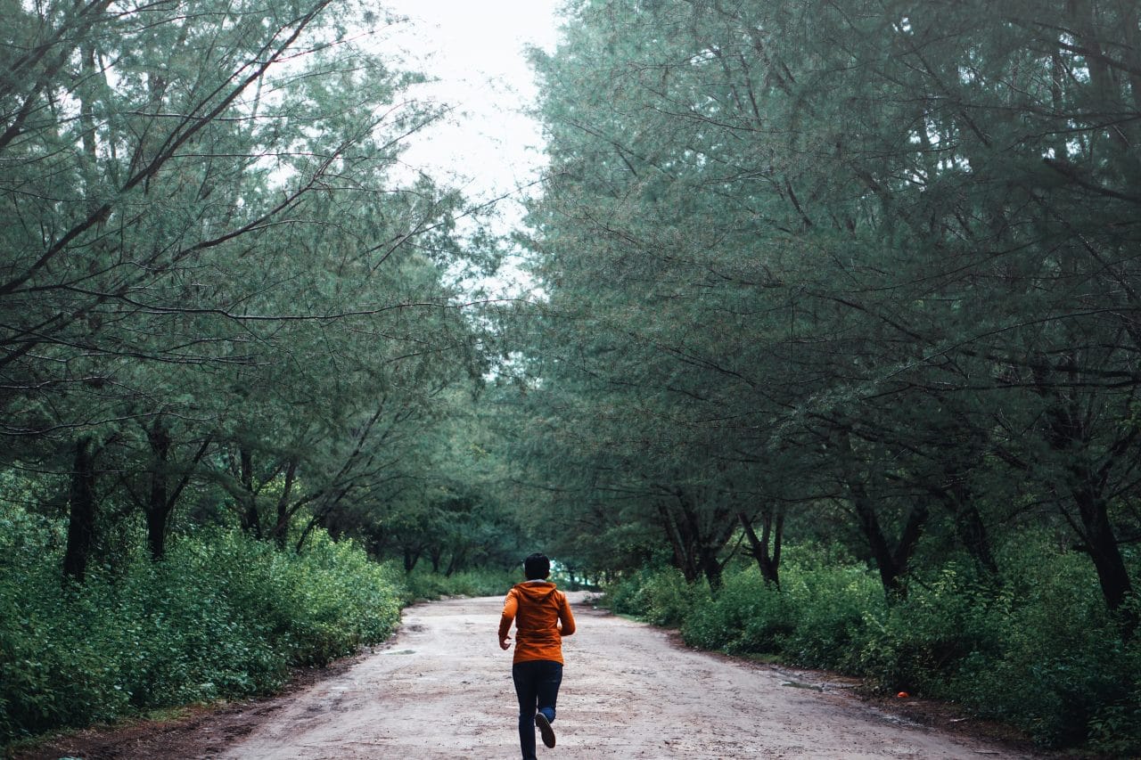 Jogger on a forested trail. 